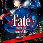 Fate/stay night [Heaven's Feel](6)