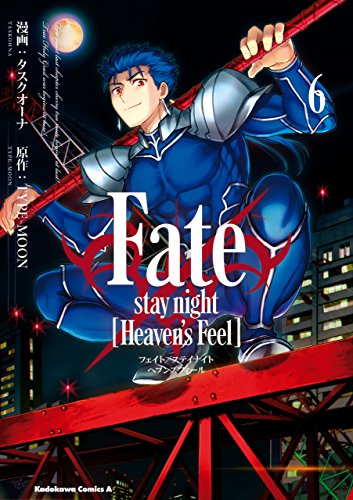 Fate/stay night [Heaven's Feel](6)