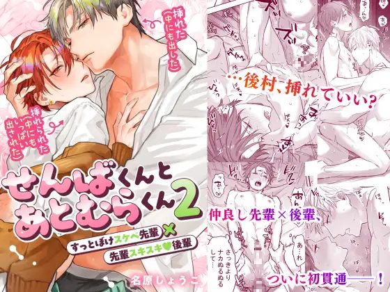 「せんばくんとあとむらくん2」NS