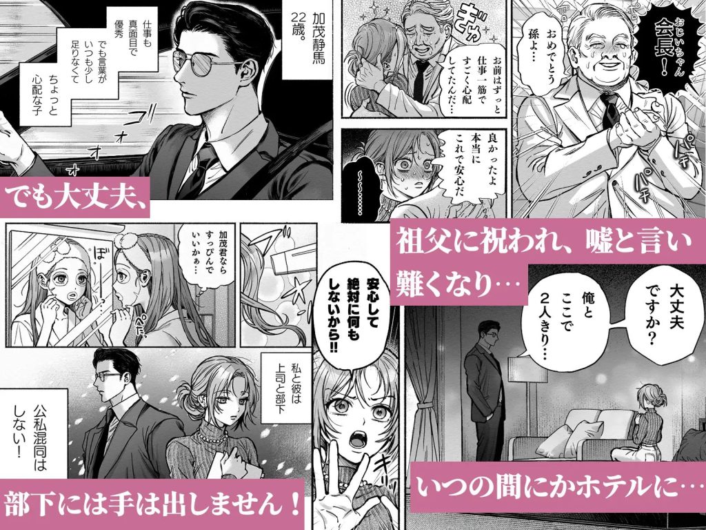 寡黙秘書君に毎晩抱かれています（叶恵）