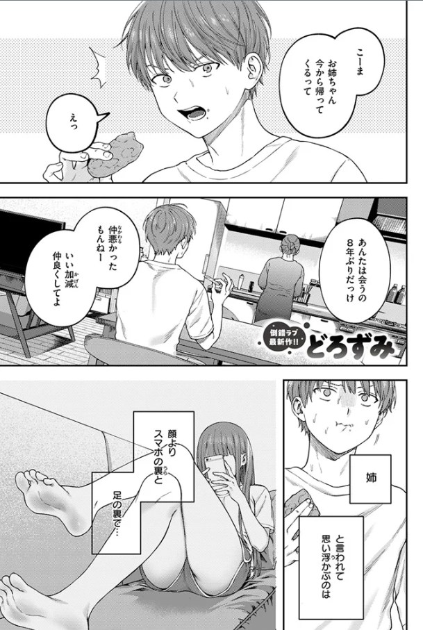 お姉ちゃんのせいだから（著者不明）